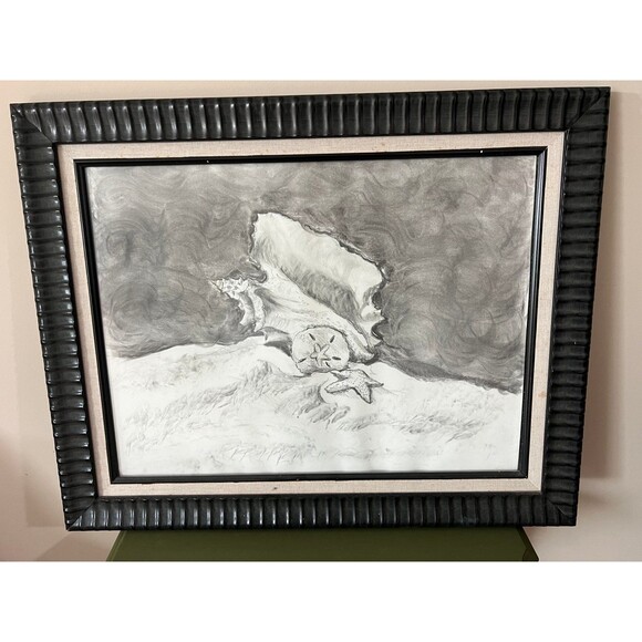 Handmade FRAMED Pencil Drawing Sketch of a Shell Starfish Sand Dollar - Picture 1 of 4